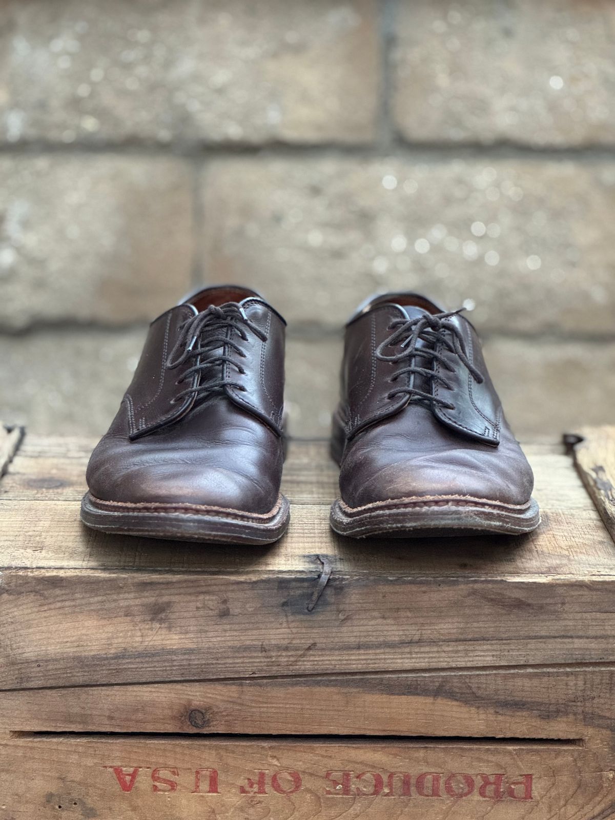 Photo by SierraLizard on February 3, 2025 of the Alden Plain Toe Blucher in Horween Brown Chromexcel.