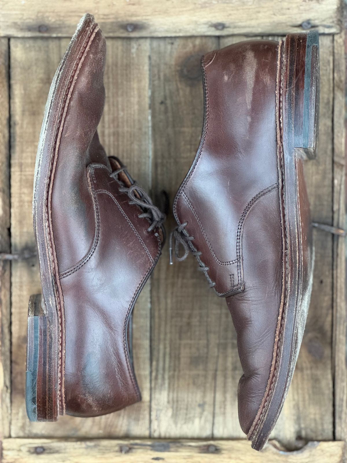 Photo by SierraLizard on February 3, 2025 of the Alden Plain Toe Blucher in Horween Brown Chromexcel.