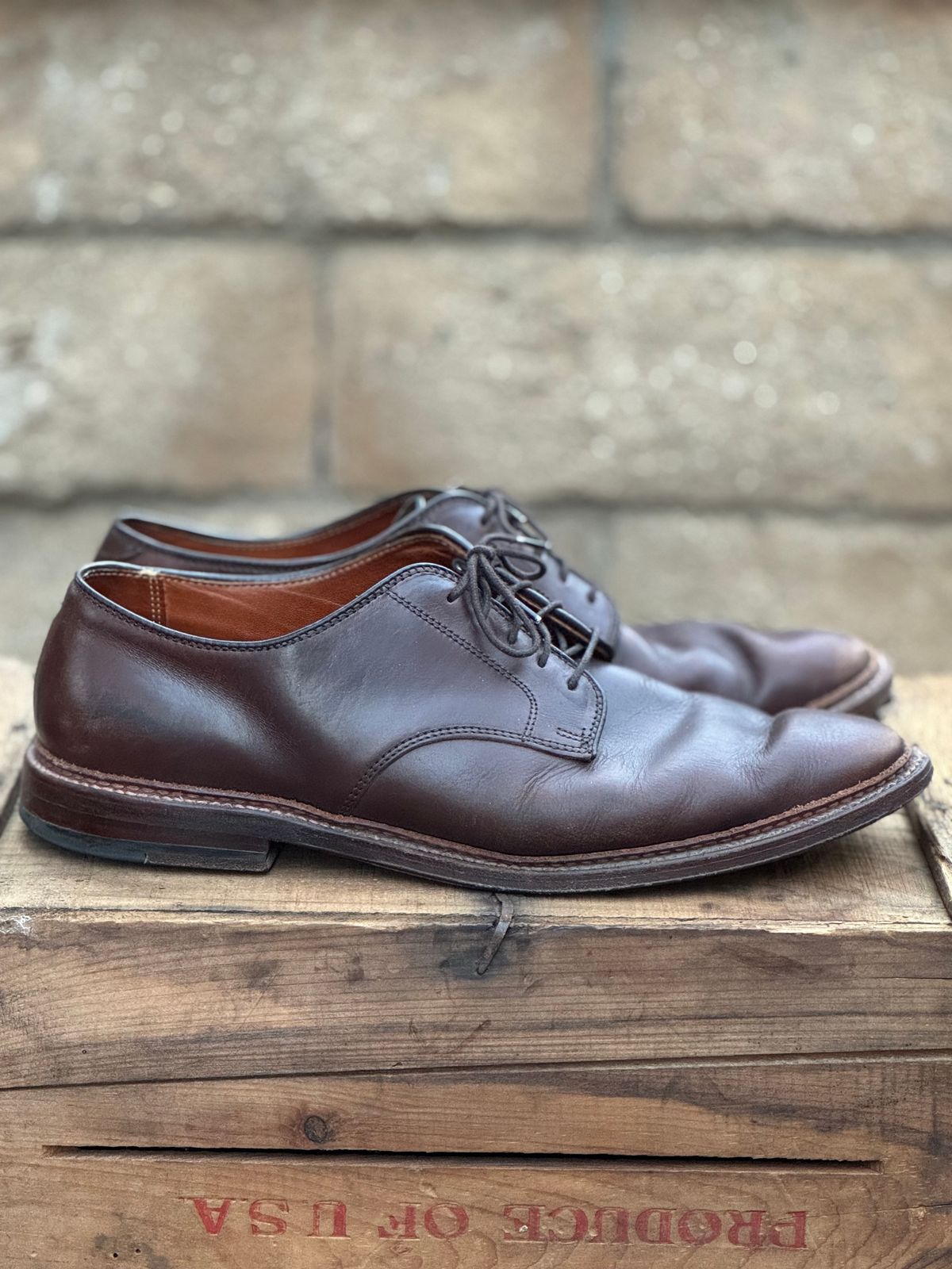 Photo by SierraLizard on February 3, 2025 of the Alden Plain Toe Blucher in Horween Brown Chromexcel.