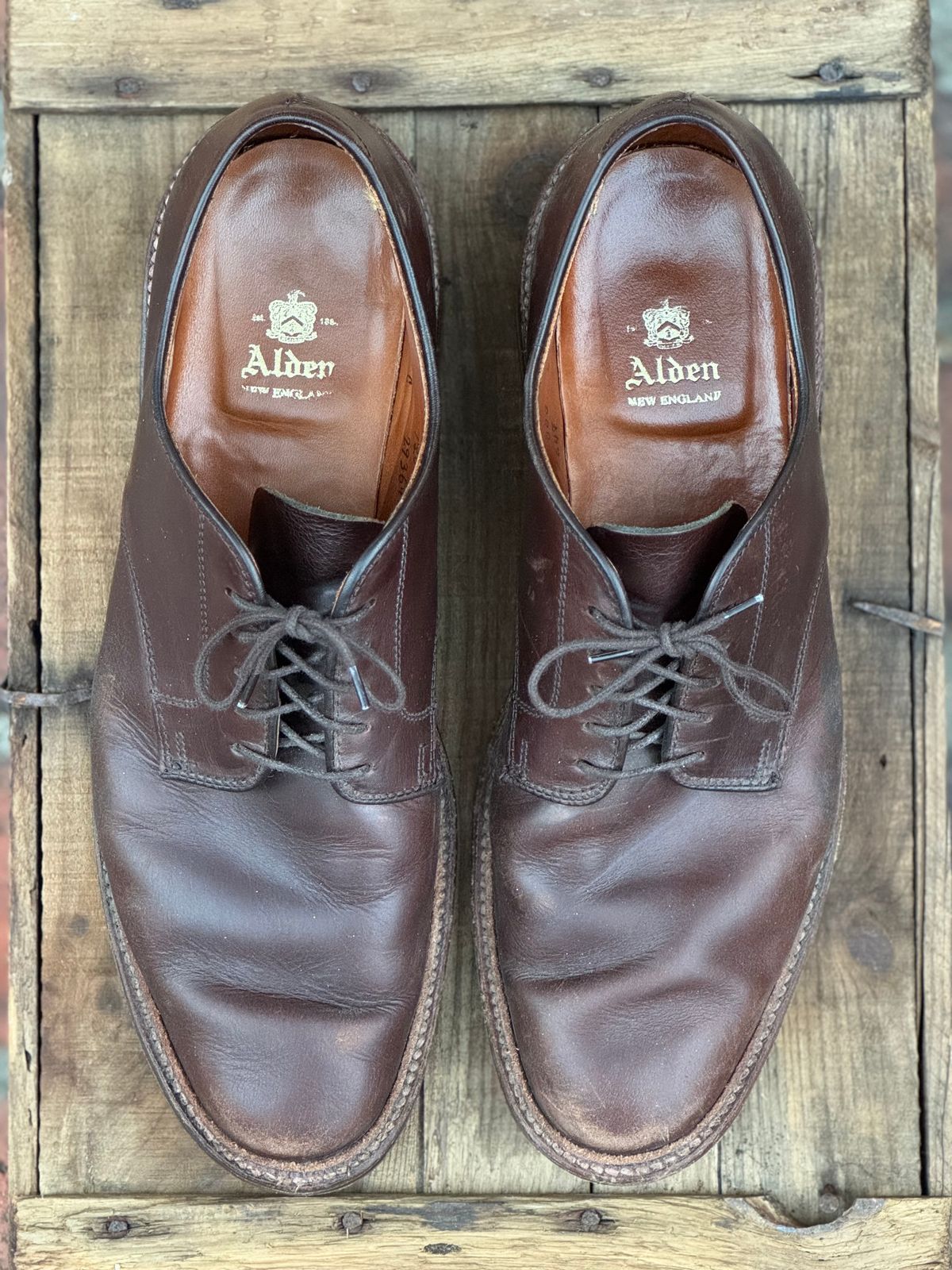 Photo by SierraLizard on February 3, 2025 of the Alden Plain Toe Blucher in Horween Brown Chromexcel.