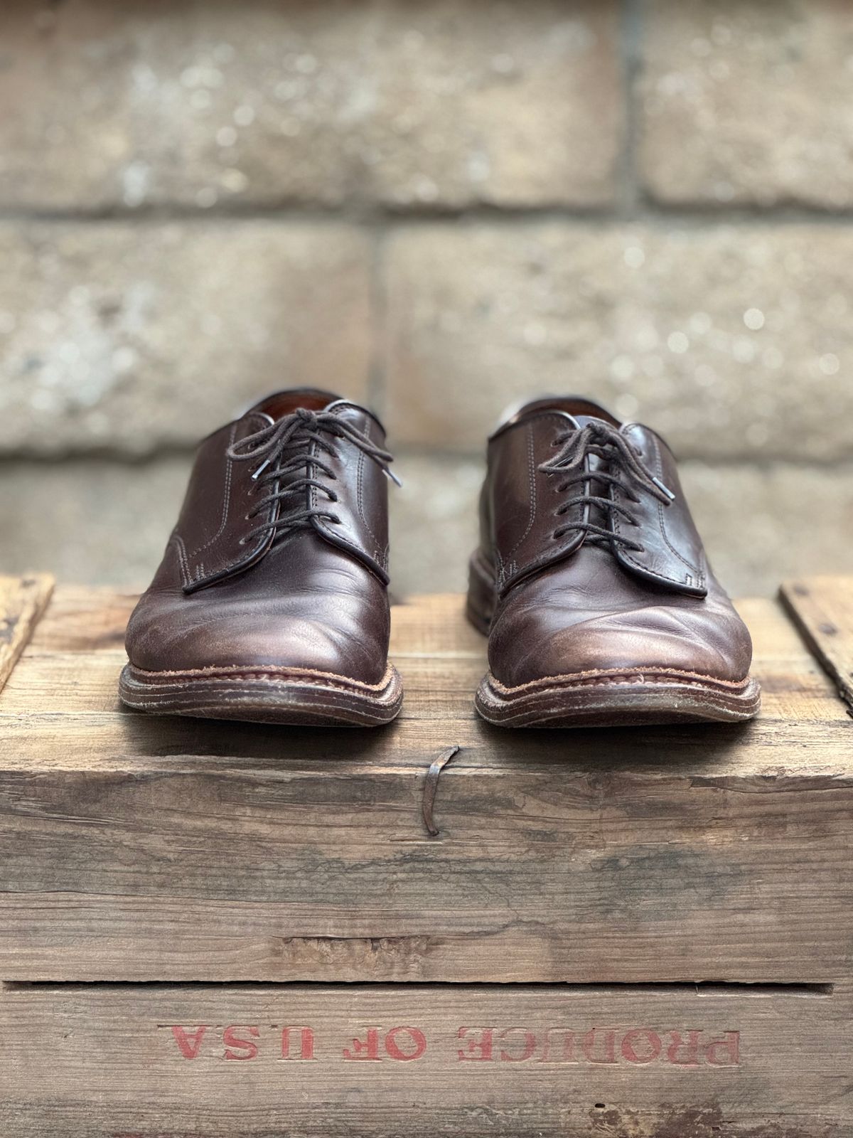 Photo by SierraLizard on March 1, 2025 of the Alden Plain Toe Blucher in Horween Brown Chromexcel.