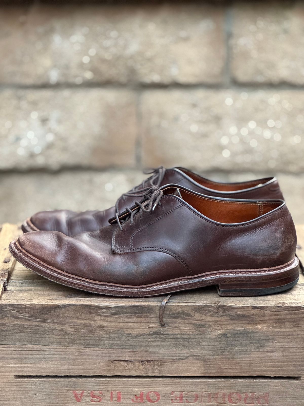 Photo by SierraLizard on March 1, 2025 of the Alden Plain Toe Blucher in Horween Brown Chromexcel.