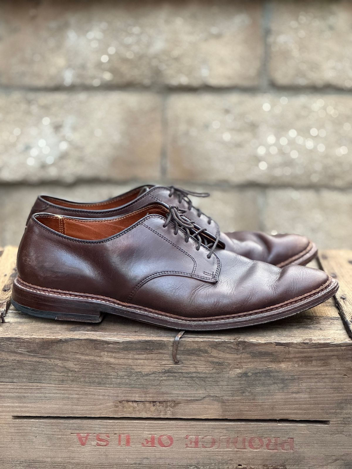 Photo by SierraLizard on March 1, 2025 of the Alden Plain Toe Blucher in Horween Brown Chromexcel.