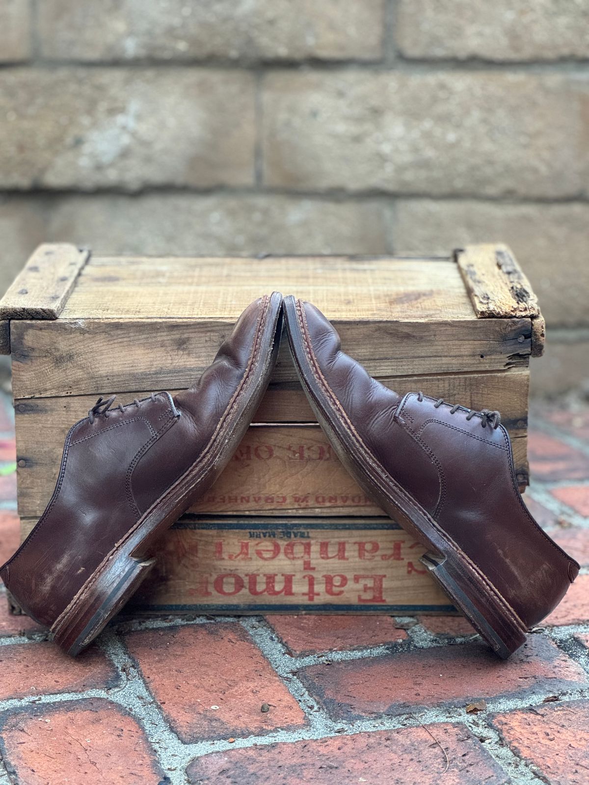 Thumbnail of review: A pair of brown leather shoes, serially underestimated.