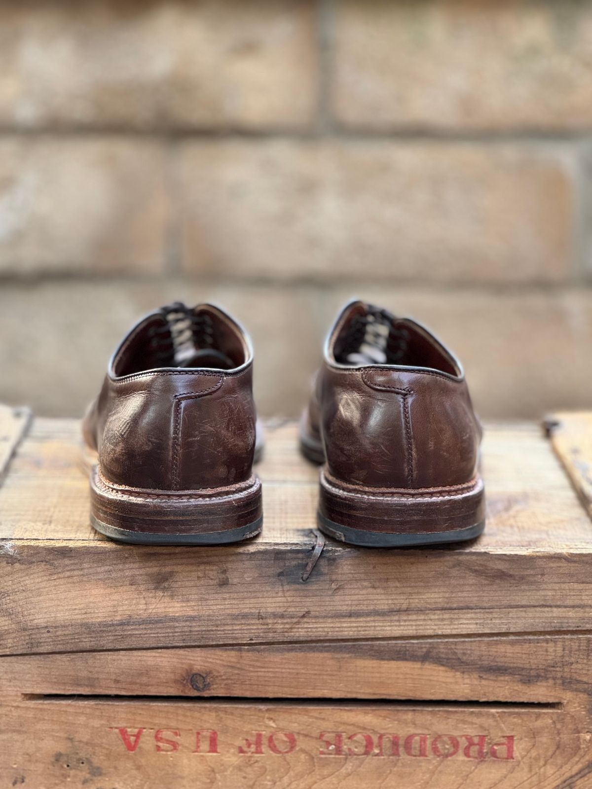 Photo by SierraLizard on March 30, 2025 of the Alden Plain Toe Blucher in Horween Brown Chromexcel.