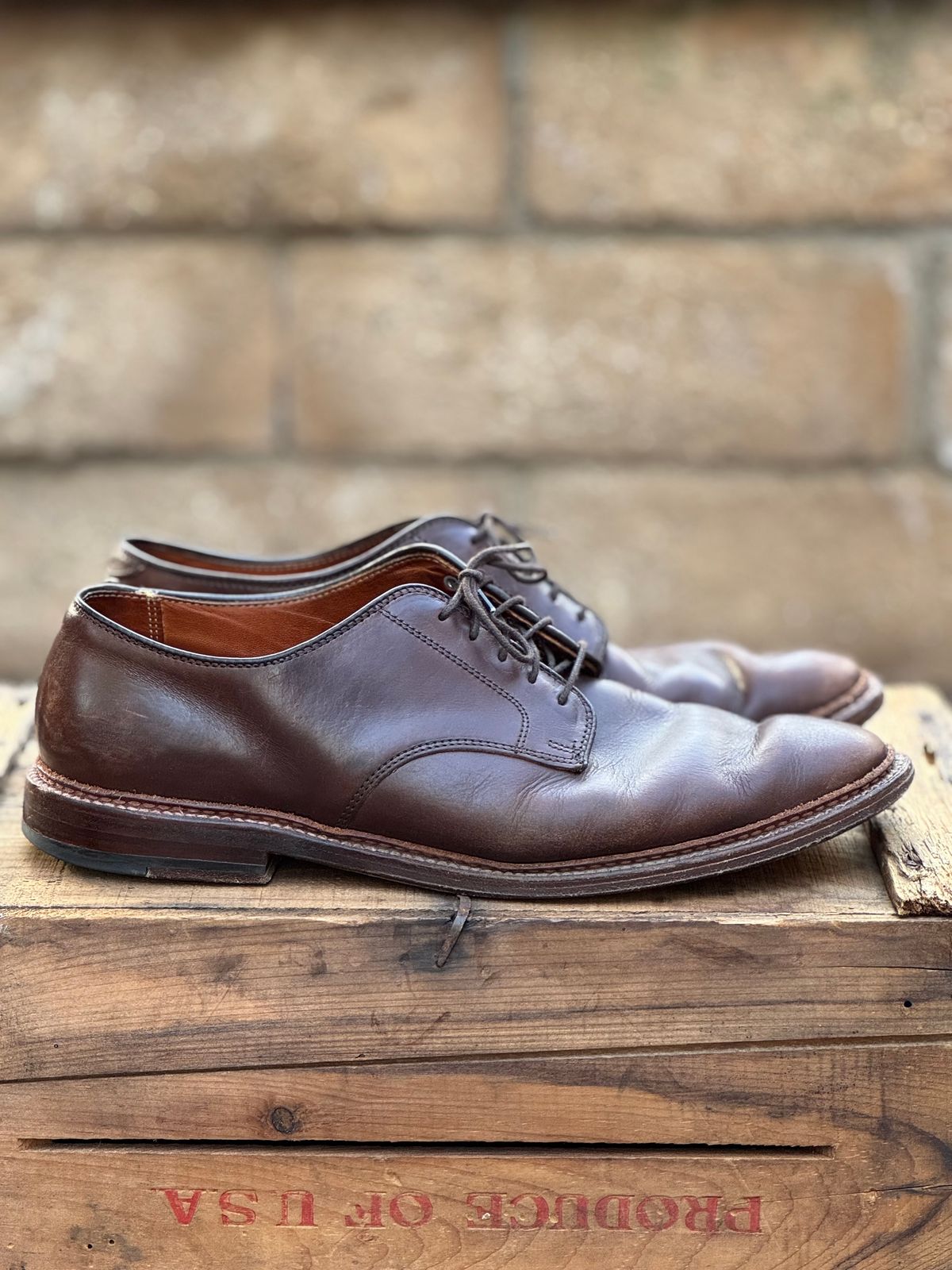 Photo by SierraLizard on March 30, 2025 of the Alden Plain Toe Blucher in Horween Brown Chromexcel.