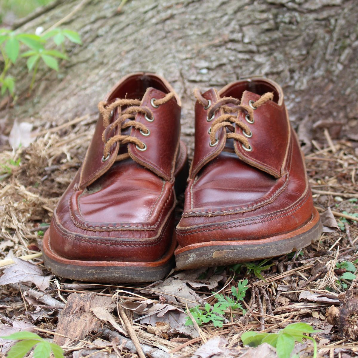 Photo by polishengineering on April 4, 2026 of the Russell Moccasin Co. Fishing Oxford in Seidel British Tan Double Shot.