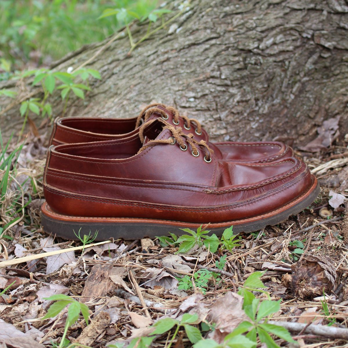 Photo by polishengineering on April 4, 2026 of the Russell Moccasin Co. Fishing Oxford in Seidel British Tan Double Shot.