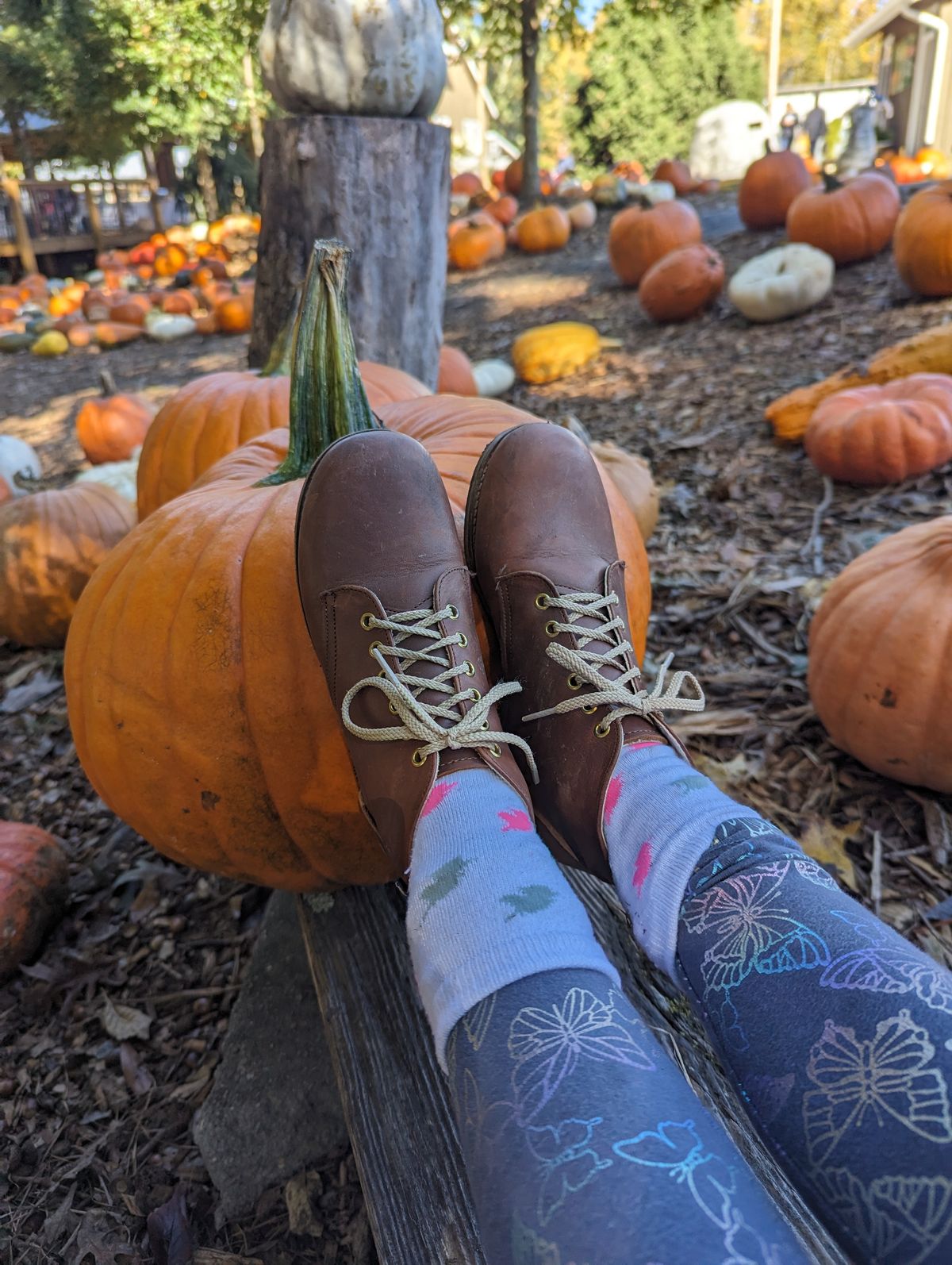 Photo by polishengineering on October 21, 2023 of the Nicks x Zimmerman Kids Work Boots in Seidel 1964 Brown.