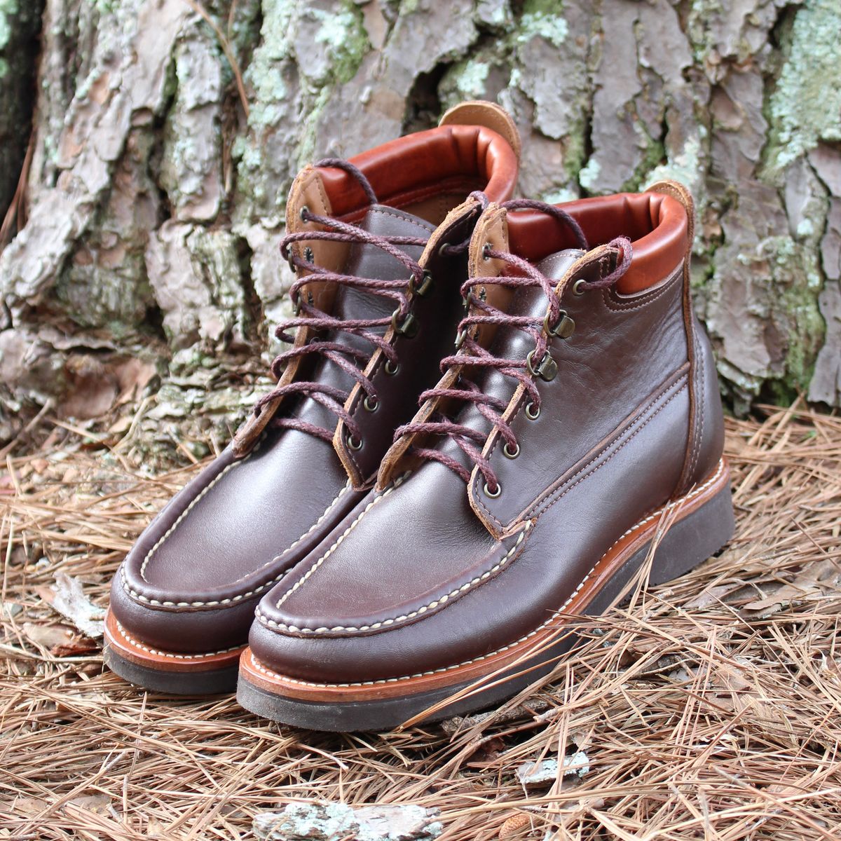 Photo by polishengineering on April 4, 2026 of the Russell Moccasin Co. Premier Chukka in Chocolate.