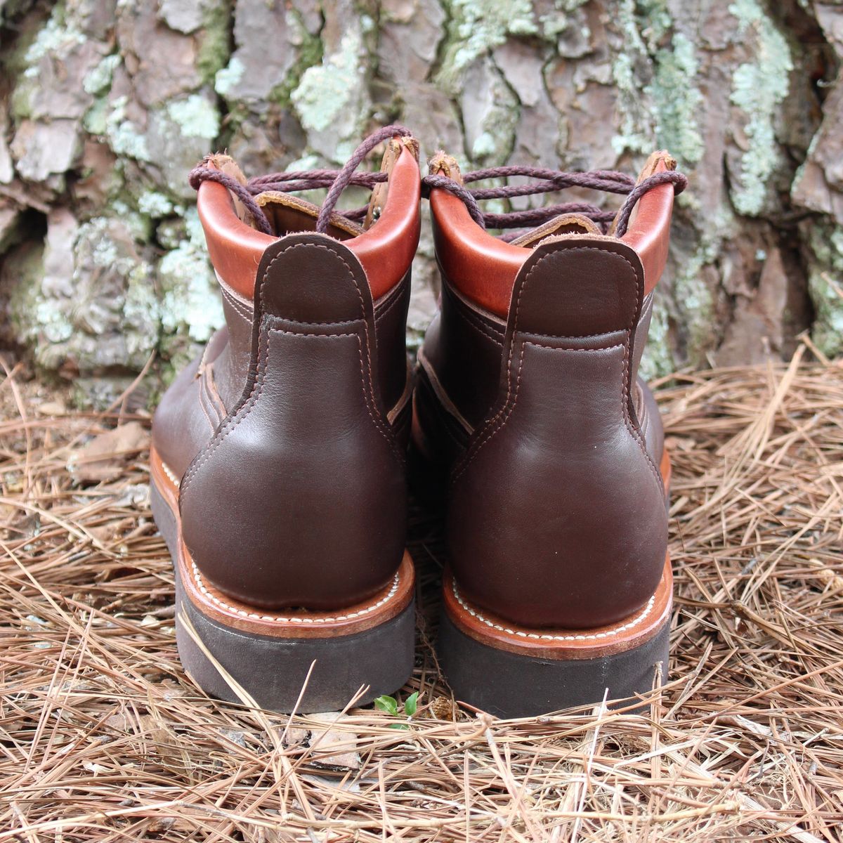 Photo by polishengineering on April 4, 2026 of the Russell Moccasin Co. Premier Chukka in Chocolate.