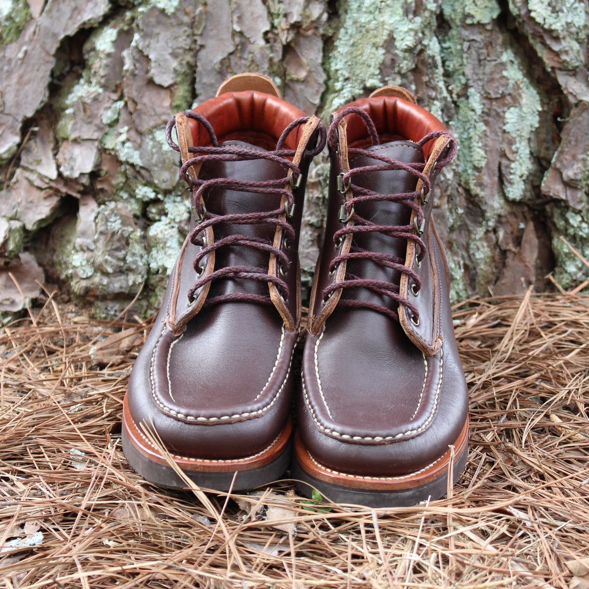 Photo by polishengineering on April 4, 2026 of the Russell Moccasin Co. Premier Chukka in Chocolate.