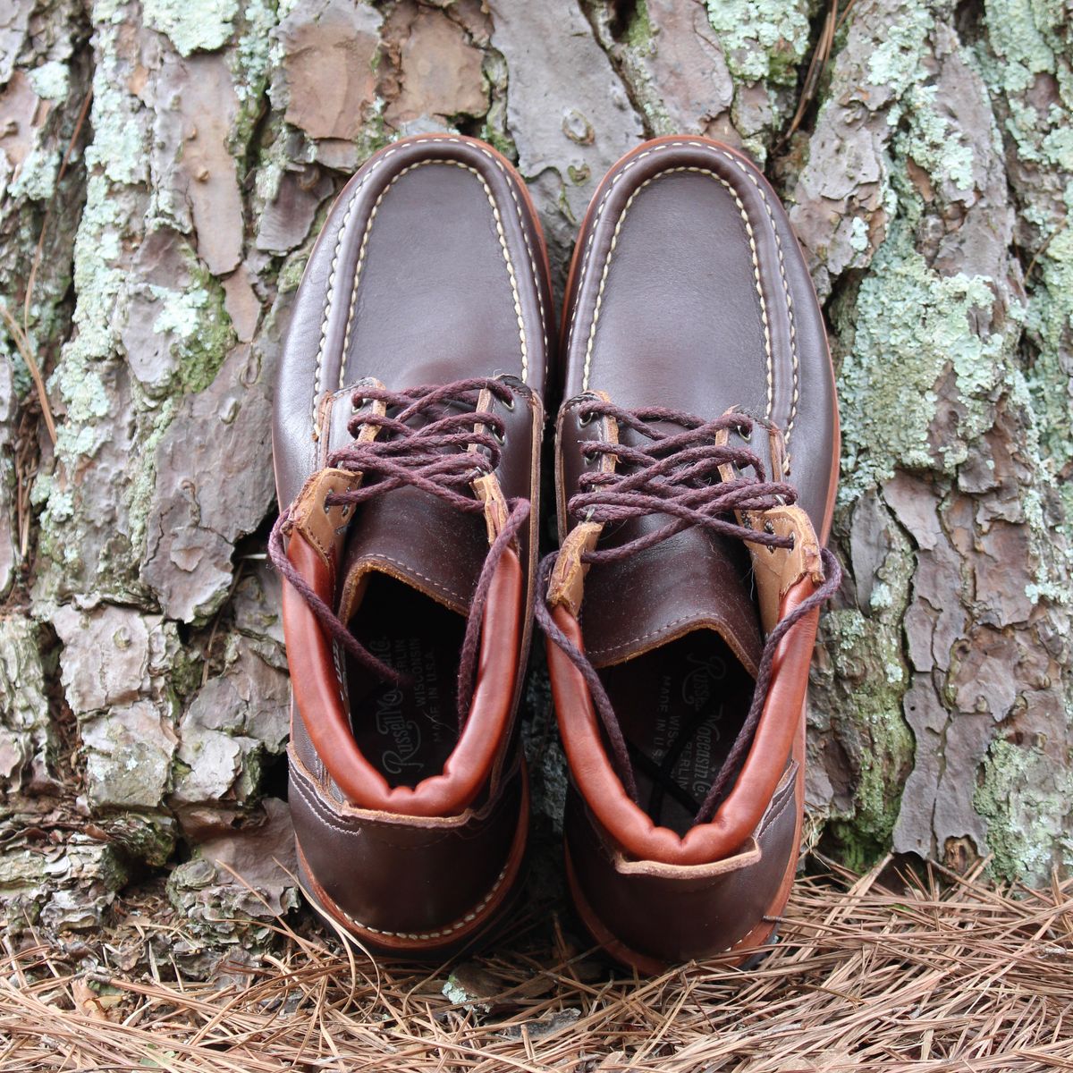 Photo by polishengineering on April 4, 2026 of the Russell Moccasin Co. Premier Chukka in Chocolate.