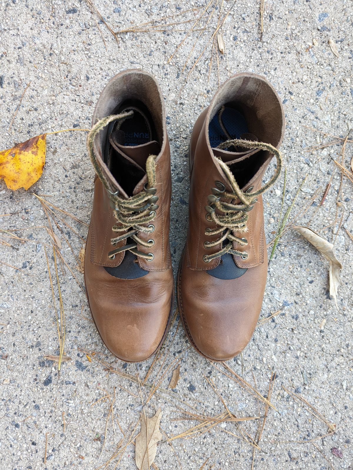 Photo by polishengineering on November 4, 2023 of the Oak Street Bootmakers Field Boot in Horween Natural Chromexcel.