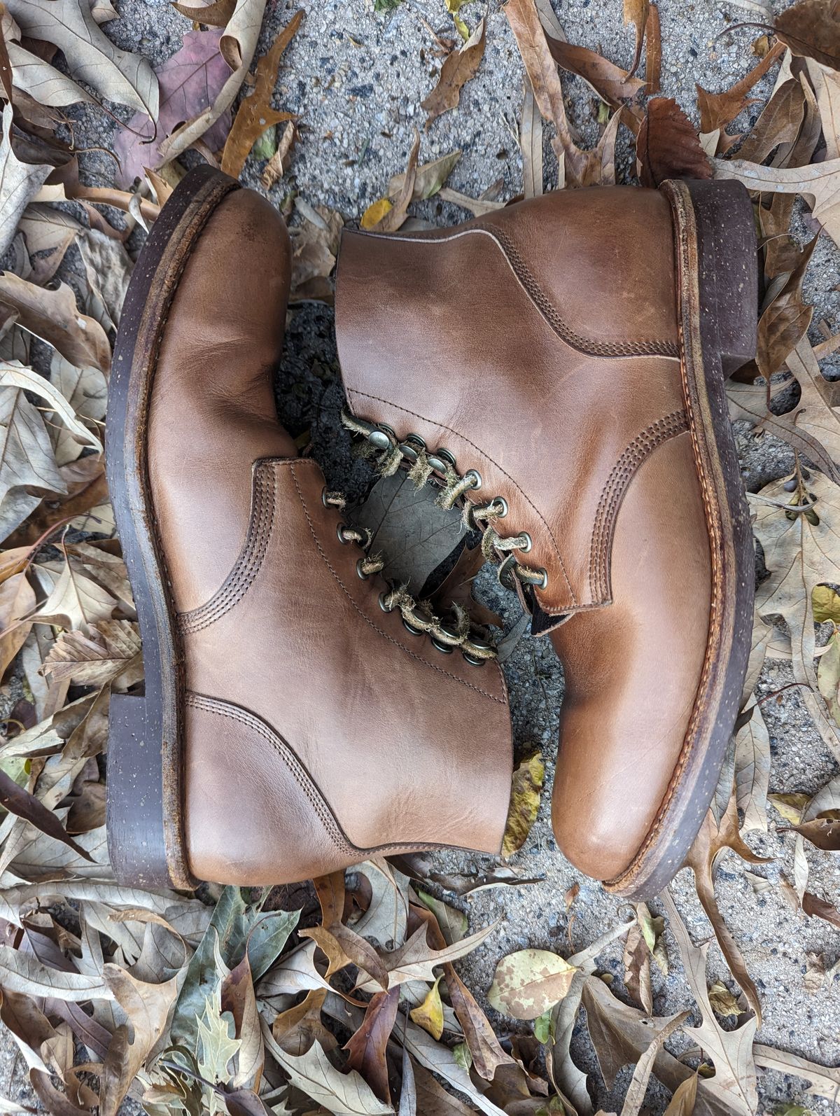 Photo by polishengineering on December 5, 2023 of the Oak Street Bootmakers Field Boot in Horween Natural Chromexcel.