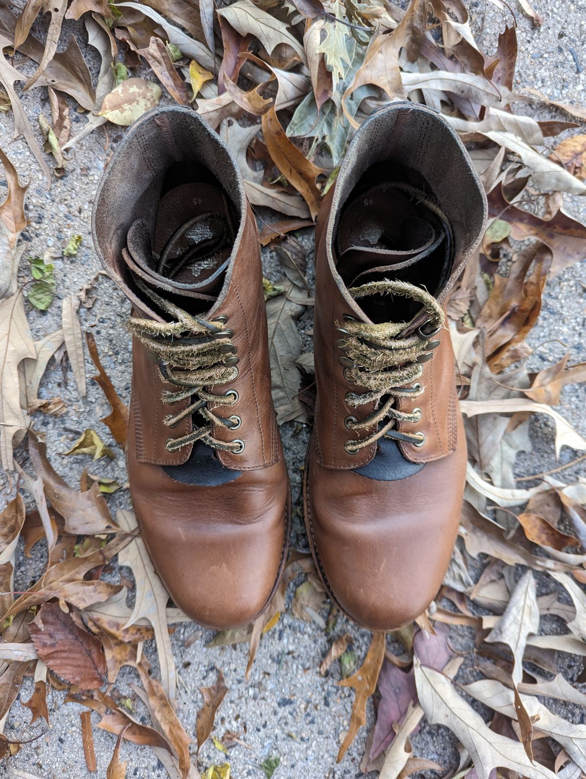 Photo by polishengineering on December 5, 2023 of the Oak Street Bootmakers Field Boot in Horween Natural Chromexcel.