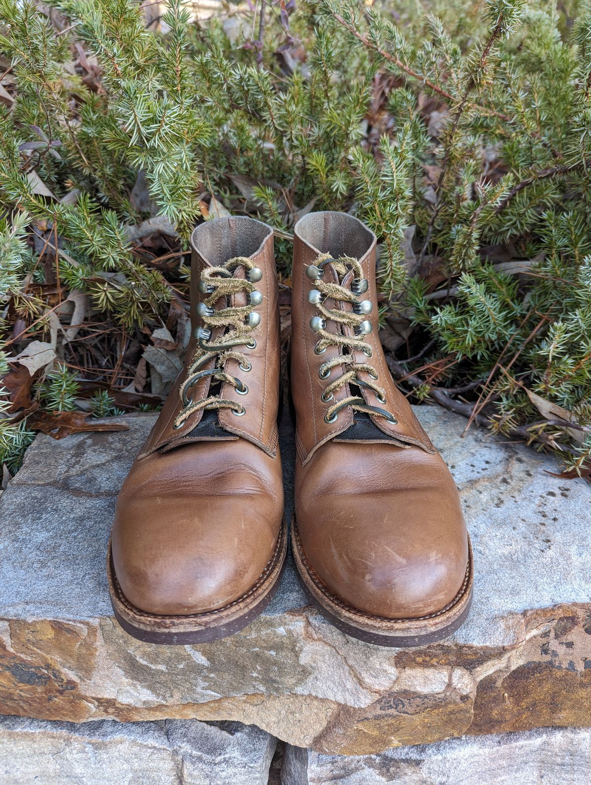 Photo by polishengineering on January 4, 2024 of the Oak Street Bootmakers Field Boot in Horween Natural Chromexcel.