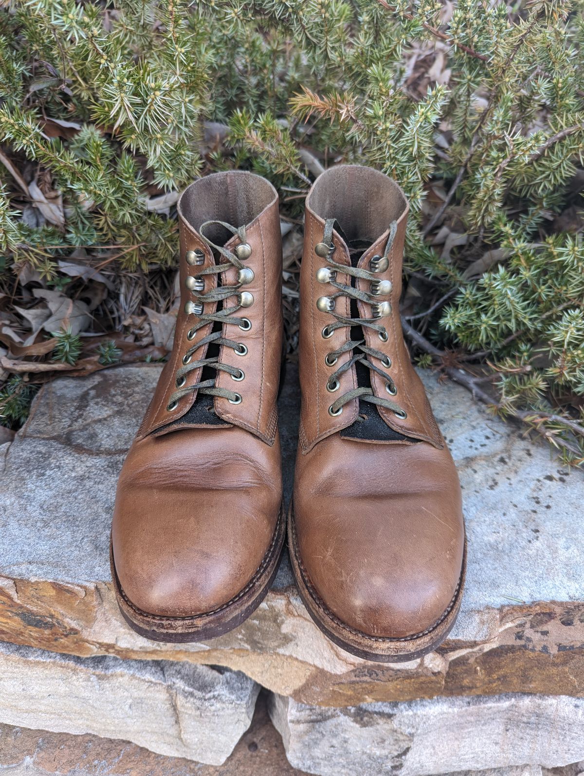 Photo by polishengineering on March 4, 2024 of the Oak Street Bootmakers Field Boot in Horween Natural Chromexcel.