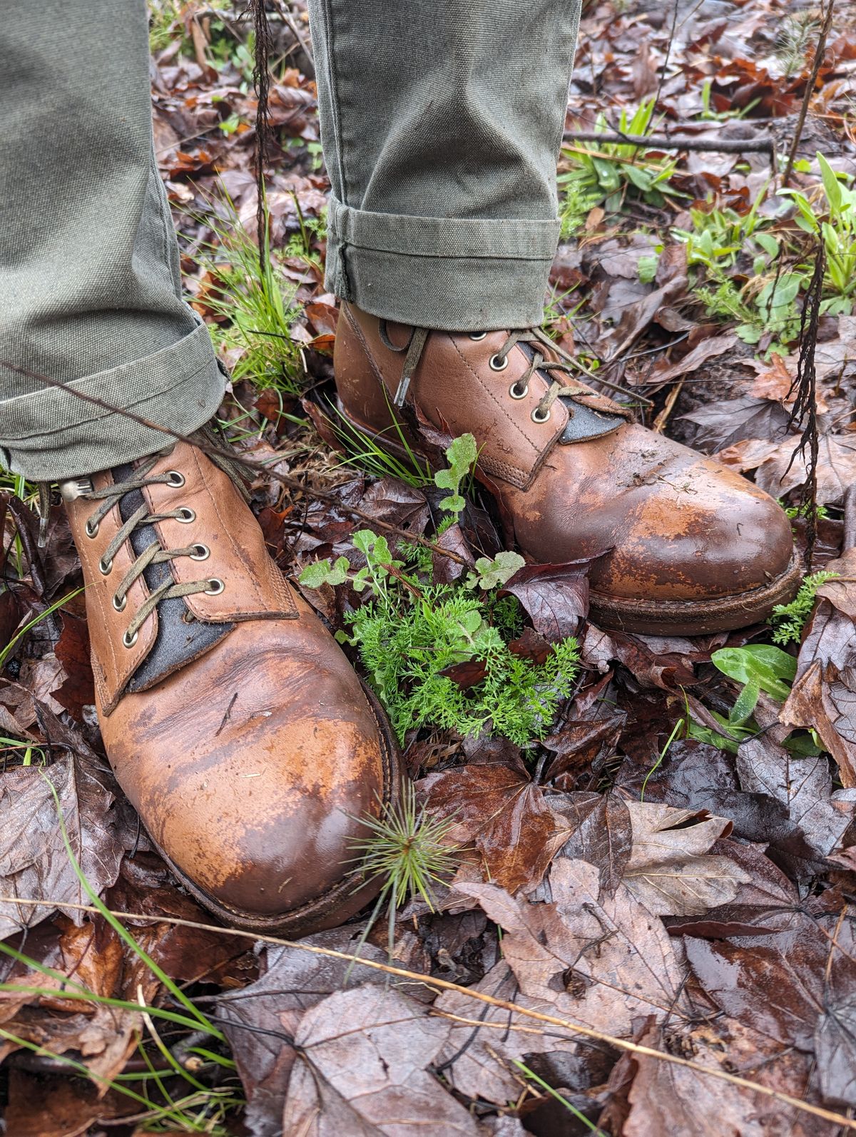 Photo by polishengineering on March 9, 2024 of the Oak Street Bootmakers Field Boot in Horween Natural Chromexcel.