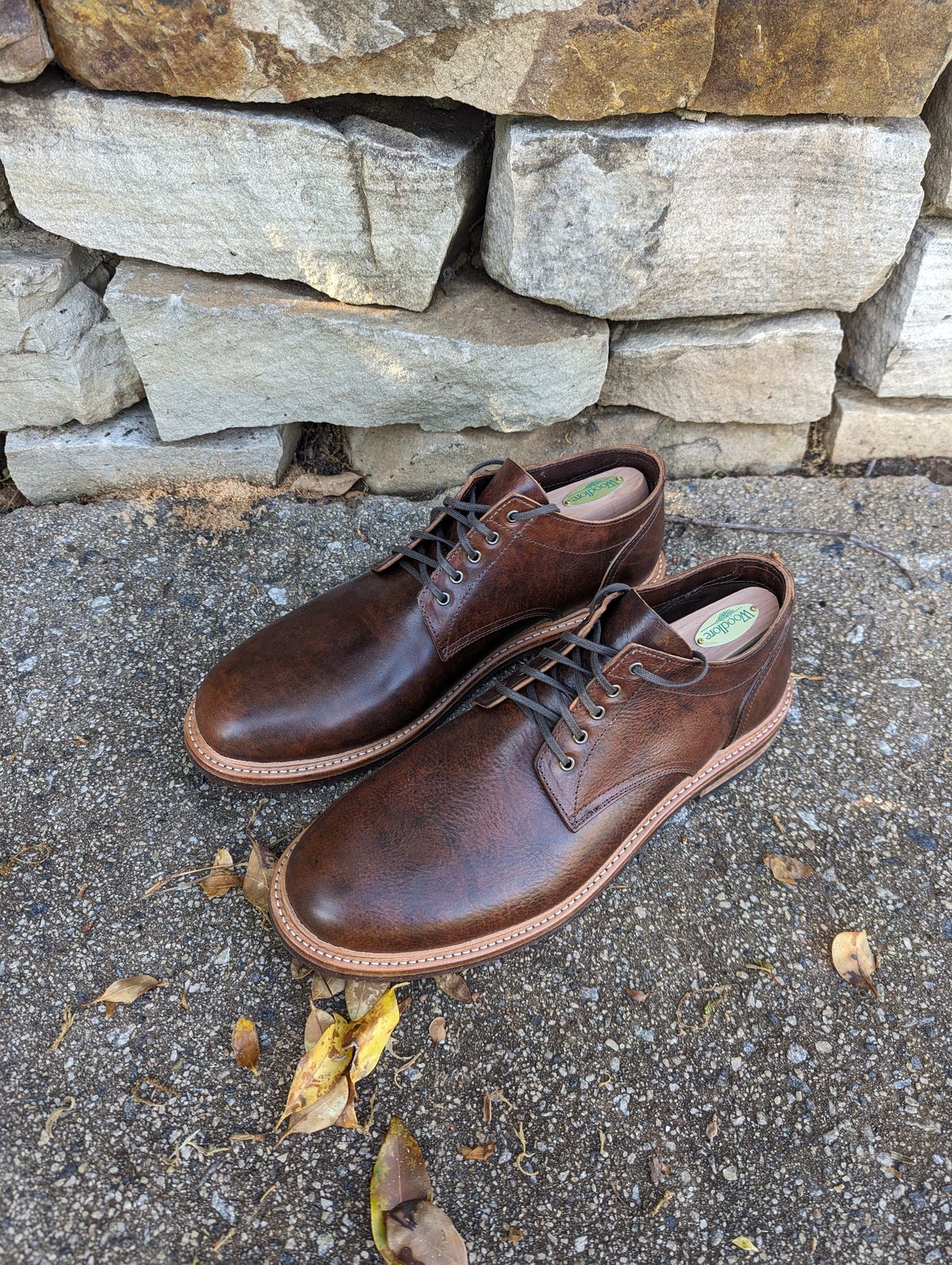 Photo by polishengineering on April 21, 2024 of the Oak Street Bootmakers Trench Oxford in Badalassi Carlo Nemesi Cotto.