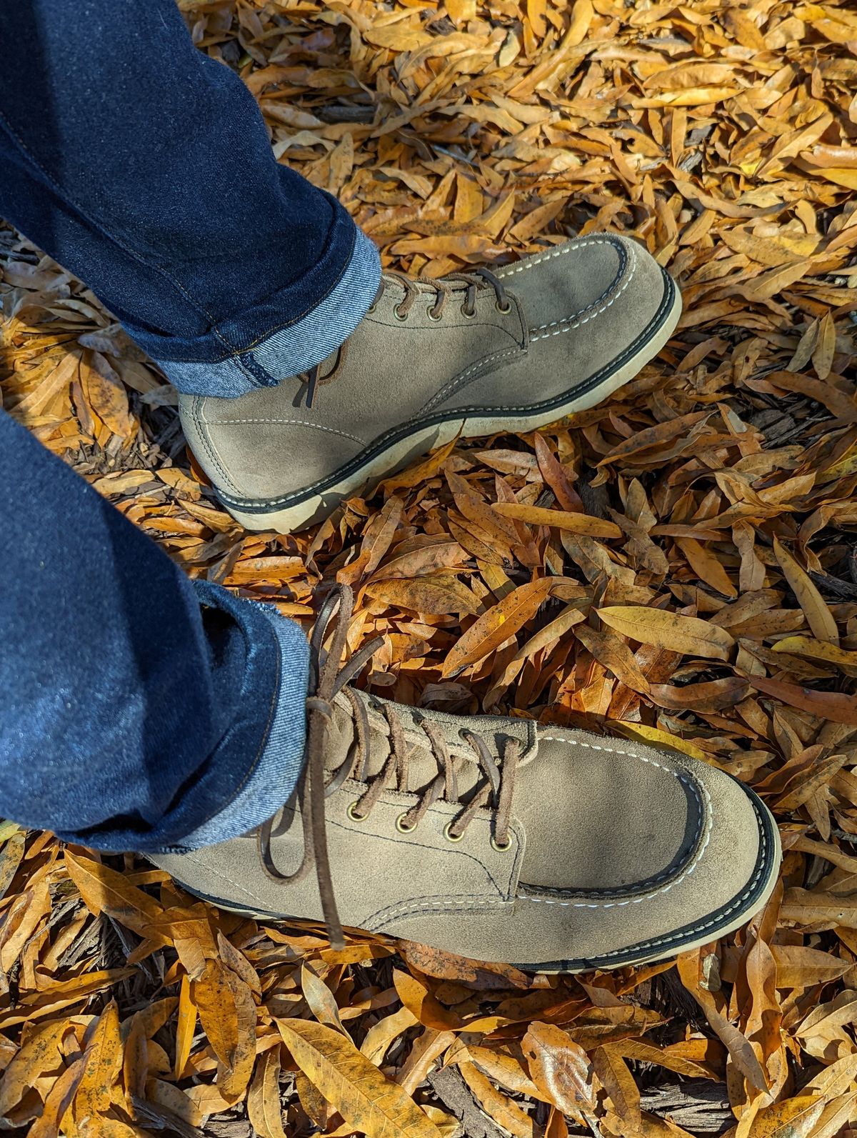 Photo by polishengineering on November 5, 2022 of the Red Wing 6-Inch Classic Moc in S.B. Foot Slate Muleskinner.