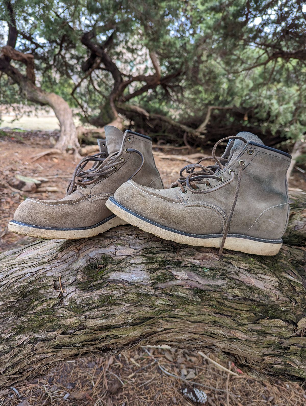 Photo by polishengineering on February 1, 2023 of the Red Wing 6-Inch Classic Moc in S.B. Foot Slate Muleskinner.