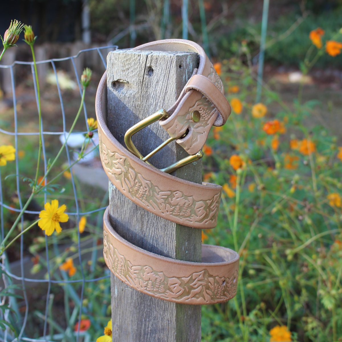 Photo by polishengineering on November 5, 2025 of the Harker Leatherworks Rainier Belt in Bakers Bridle.