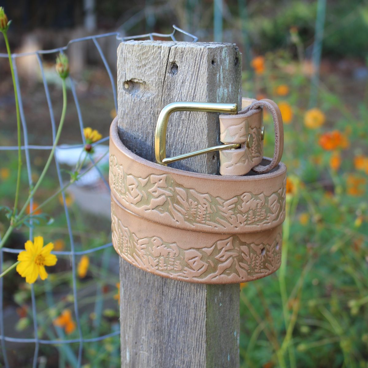 Photo by polishengineering on November 5, 2025 of the Harker Leatherworks Rainier Belt in Bakers Bridle.