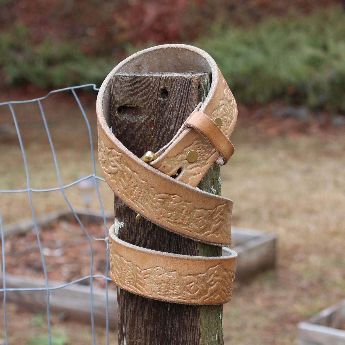 Photo by polishengineering on February 4, 2026 of the Harker Leatherworks Rainier Belt in Bakers Bridle.