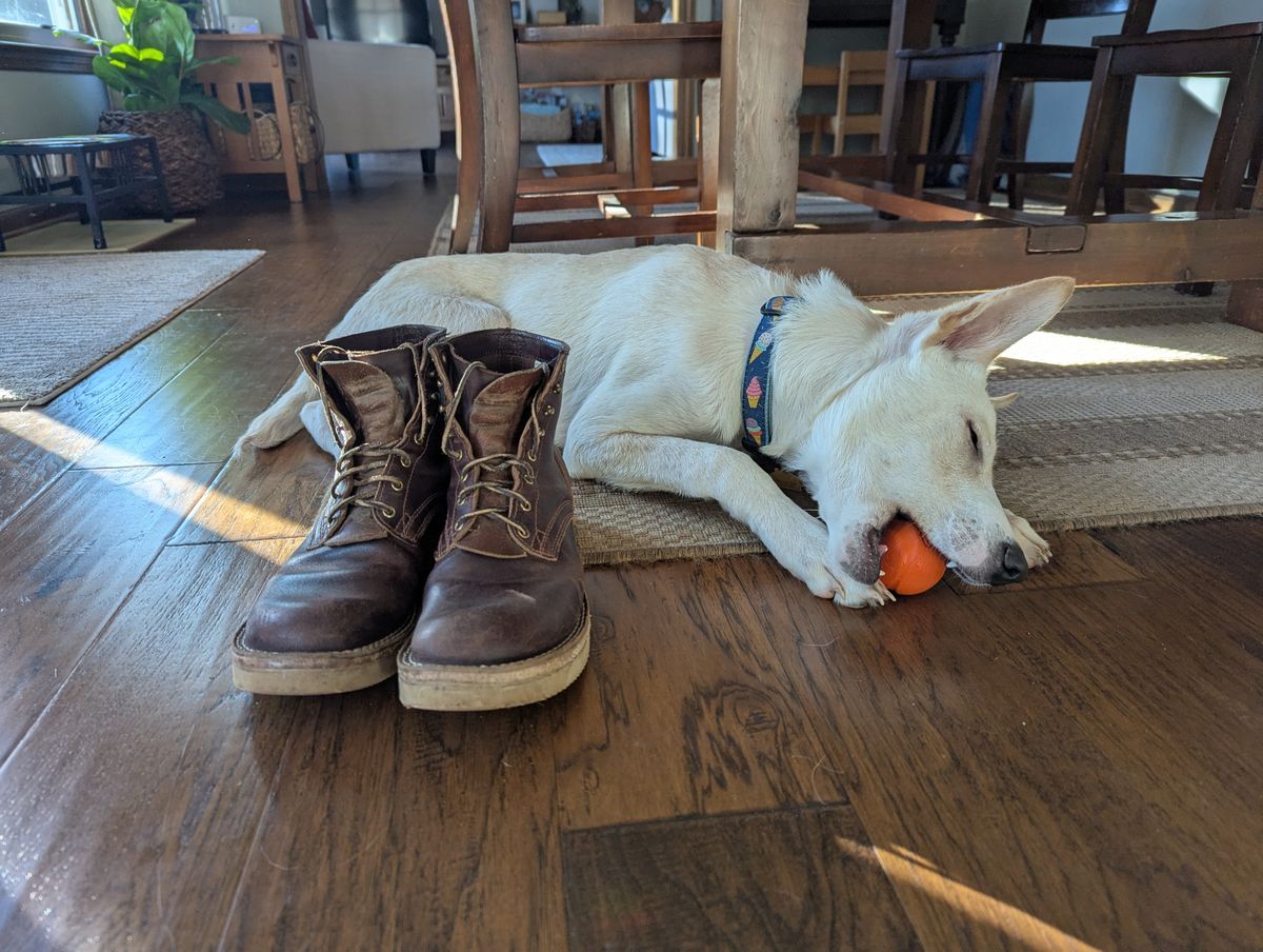 Photo by polishengineering on December 23, 2024 of the Nicks Lace Up Heritage in Horween Tan Waxed Flesh.