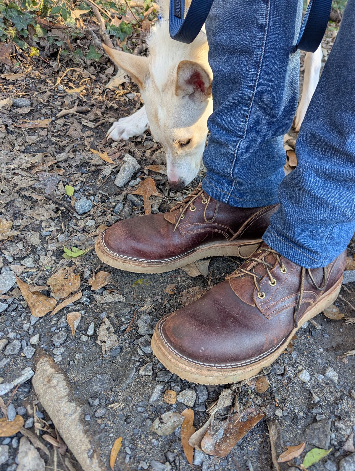 Photo by polishengineering on December 29, 2024 of the Nicks Lace Up Heritage in Horween Tan Waxed Flesh.