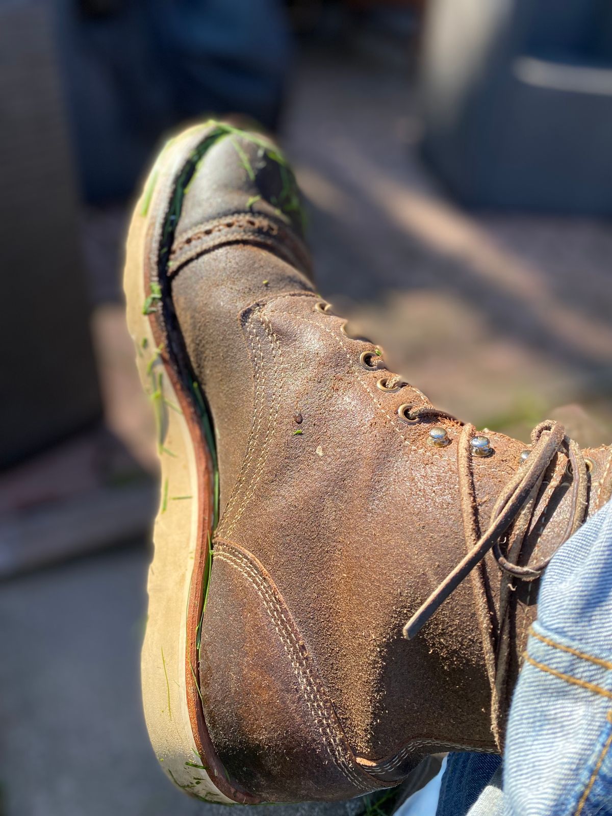 Photo by Hellraysaz on May 25, 2025 of the White's MP-Sherman Toe Cap in Horween Olive Waxed Flesh.