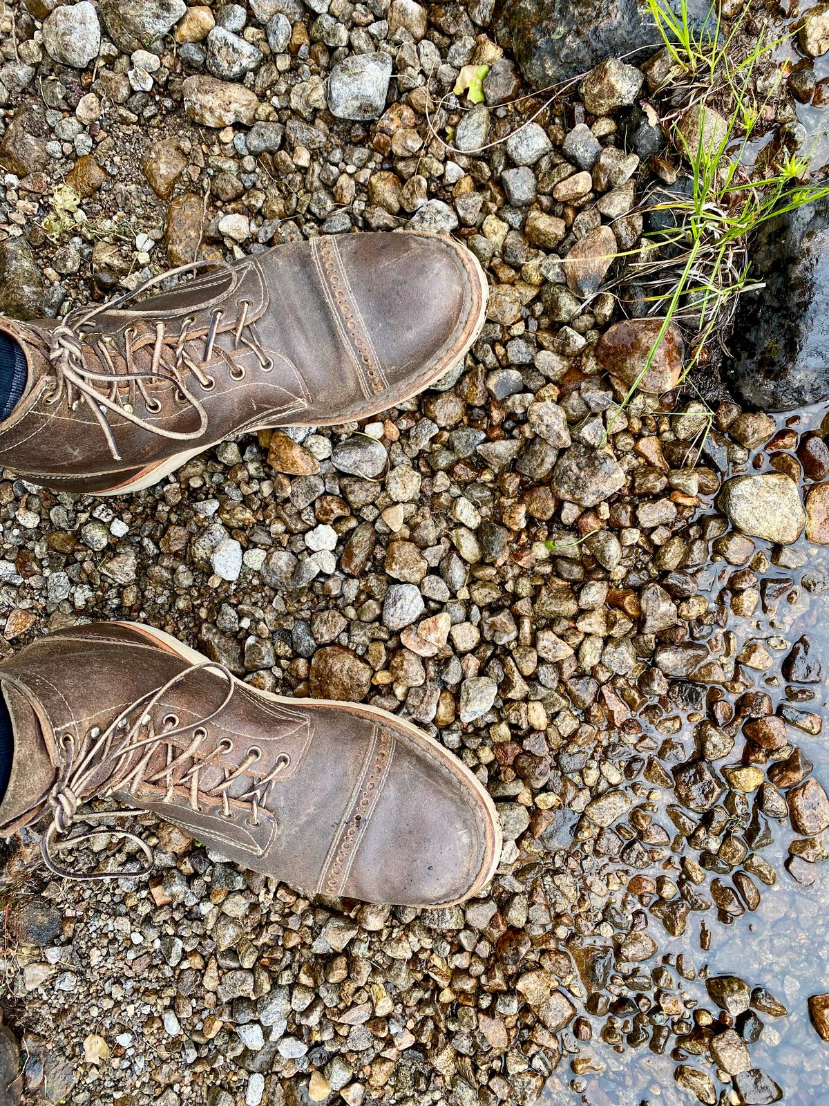 Photo by Hellraysaz on July 5, 2025 of the White's MP-Sherman Toe Cap in Horween Olive Waxed Flesh.