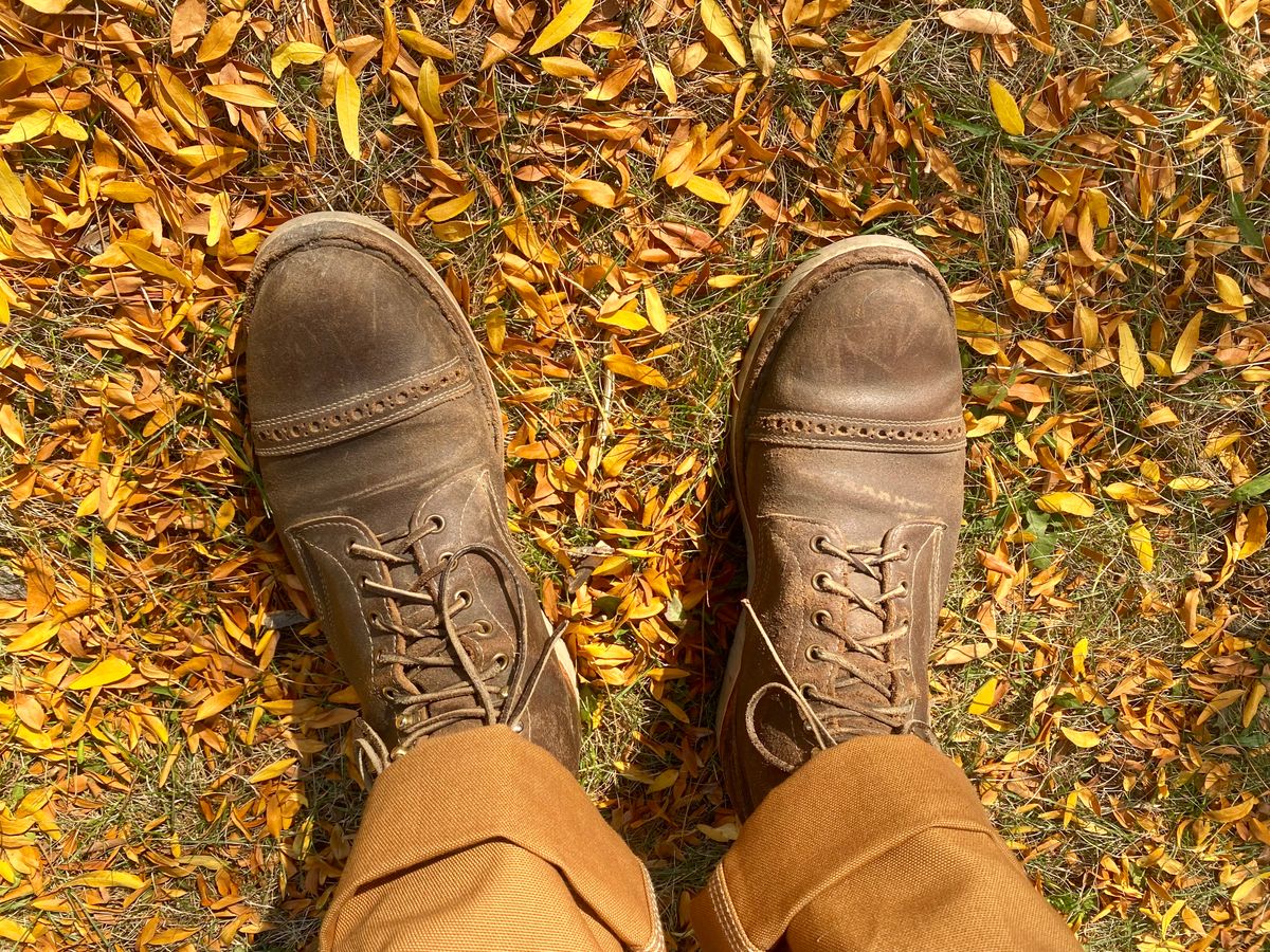 Photo by Hellraysaz on October 19, 2025 of the White's MP-Sherman Toe Cap in Horween Olive Waxed Flesh.