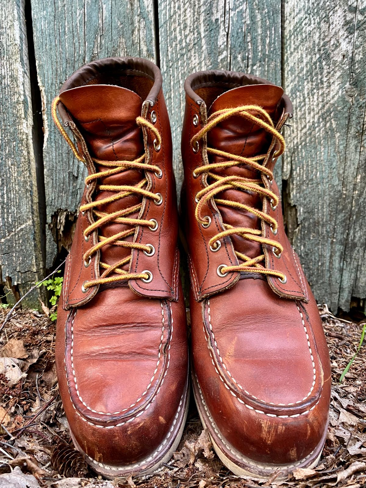 Photo by Hellraysaz on July 31, 2021 of the Red Wing 6-Inch Classic Moc in S.B. Foot Oro Legacy.