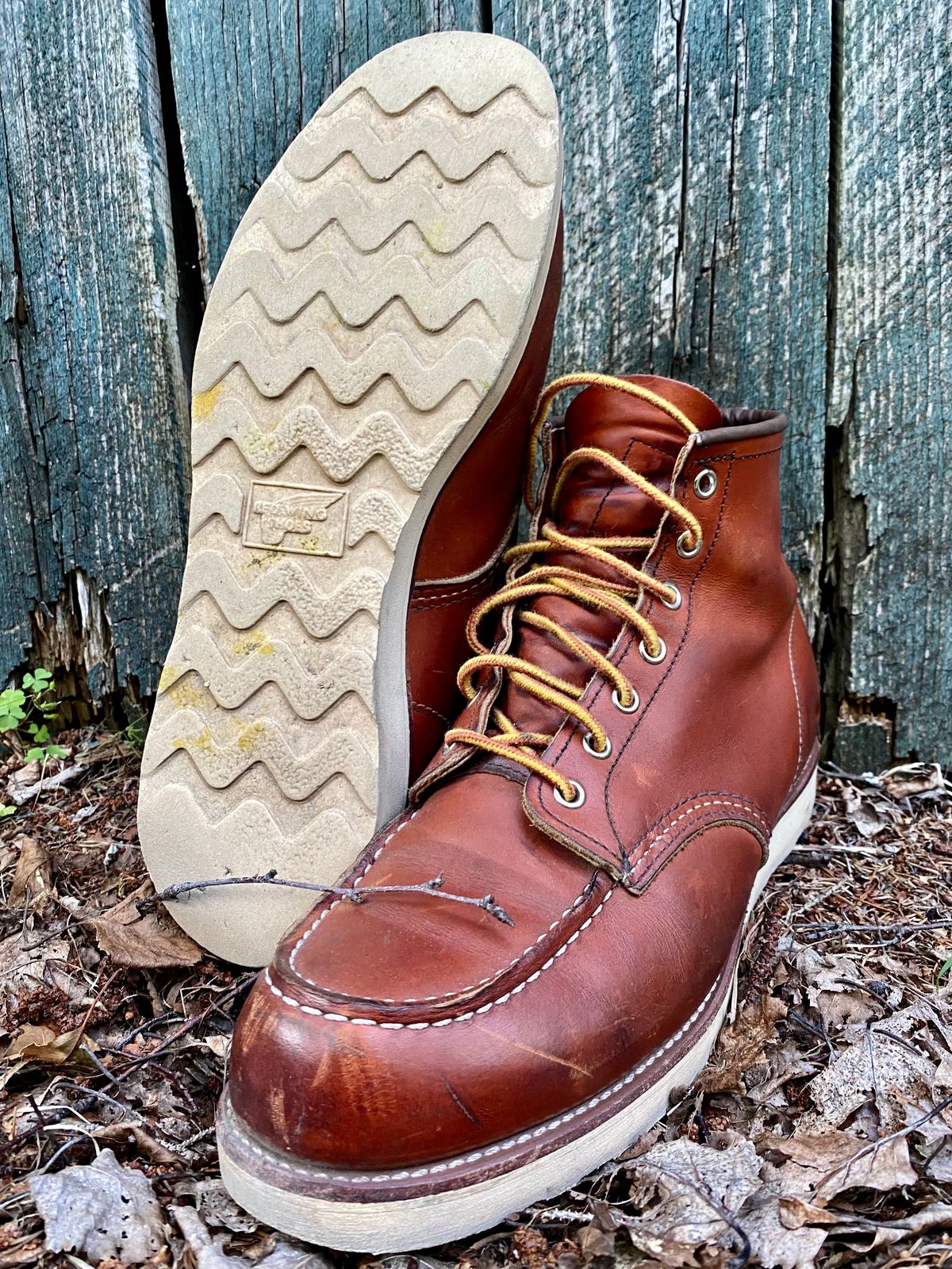 Photo by Hellraysaz on July 31, 2021 of the Red Wing 6-Inch Classic Moc in S.B. Foot Oro Legacy.