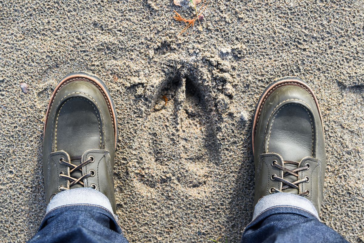 Photo by ABPhoto on November 1, 2023 of the Red Wing 6-Inch Classic Moc in S.B. Foot Alpine Portage.