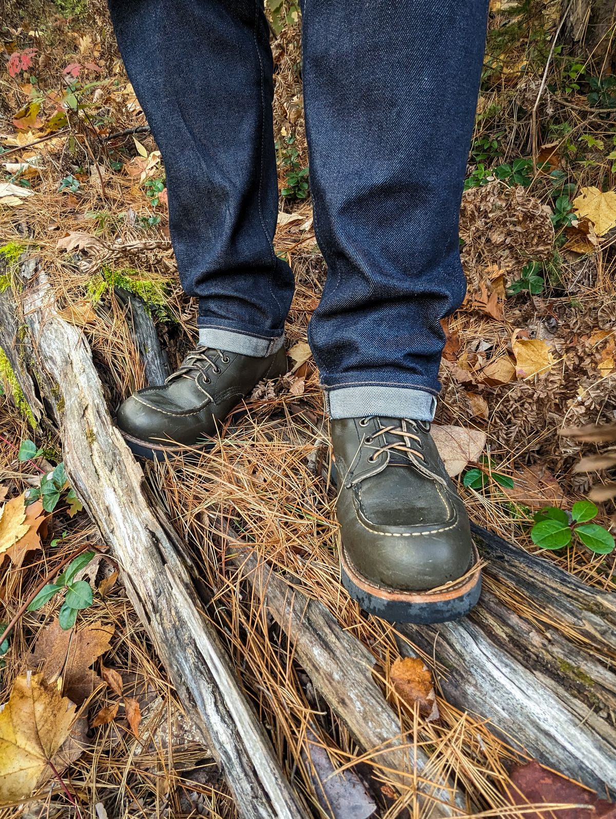 Photo by ABPhoto on October 15, 2023 of the Red Wing 6-Inch Classic Moc in S.B. Foot Alpine Portage.