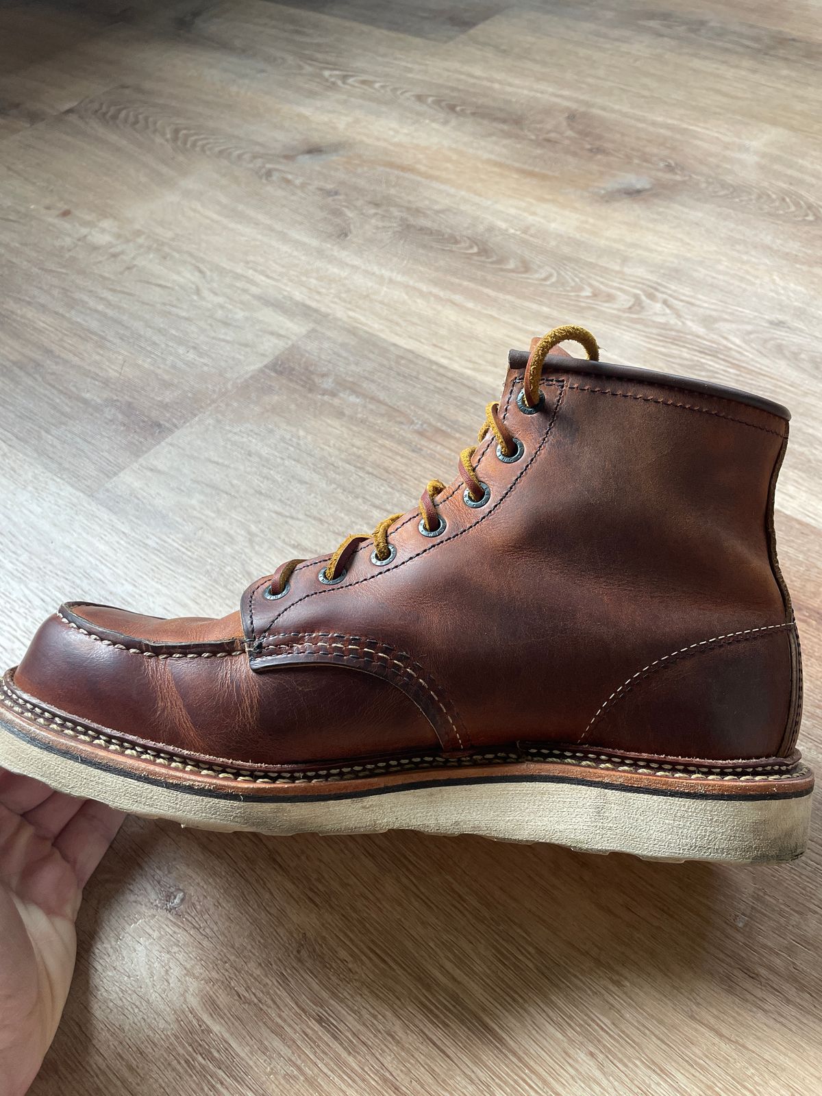 Photo by mjones21 on March 26, 2023 of the Red Wing 6-Inch Classic Moc in S.B. Foot Copper Rough and Tough.