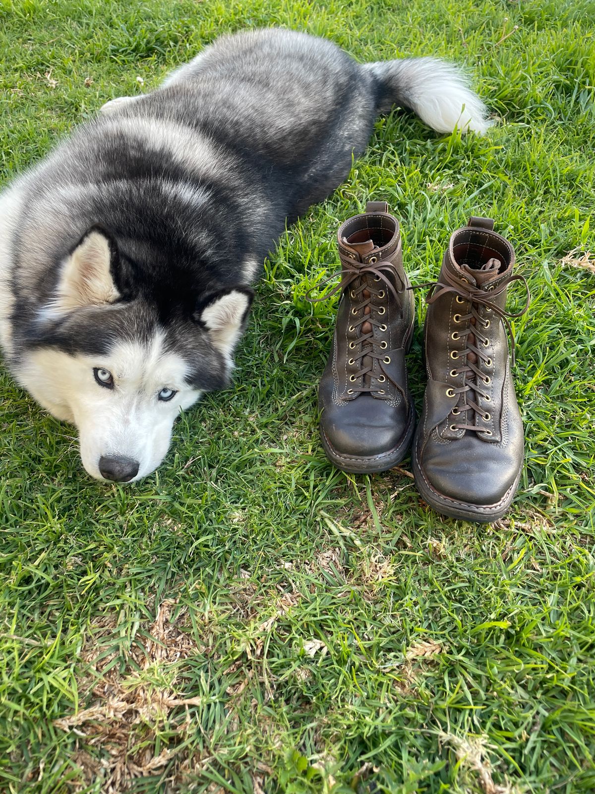 Photo by Mikejones100 on April 3, 2023 of the White's Unlisted Model in Horween Olive Waxed Flesh.