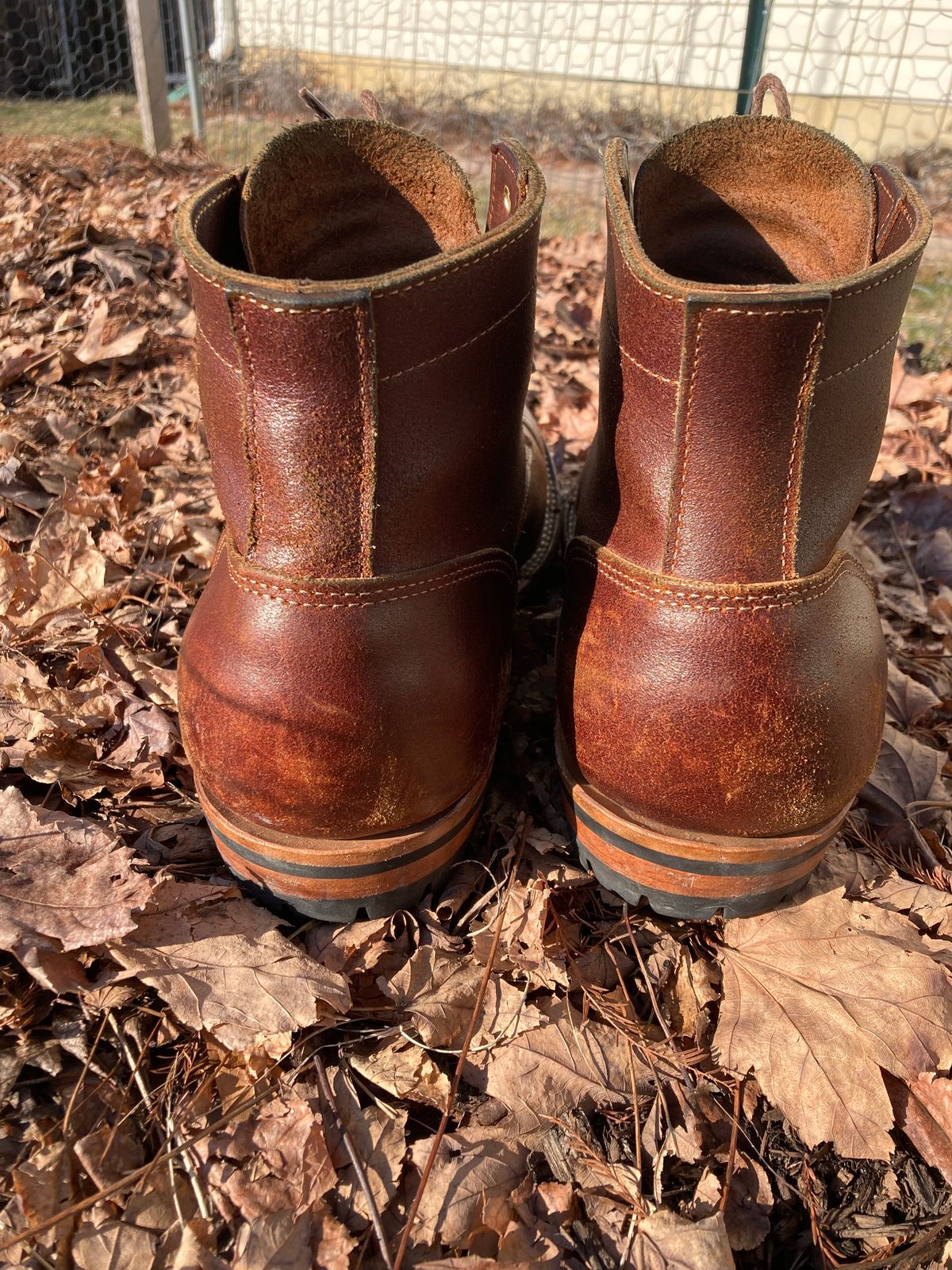 Photo by Indy.Ben2 on February 4, 2023 of the Truman Service Boot in Horween Chestnut Waxed Flesh.