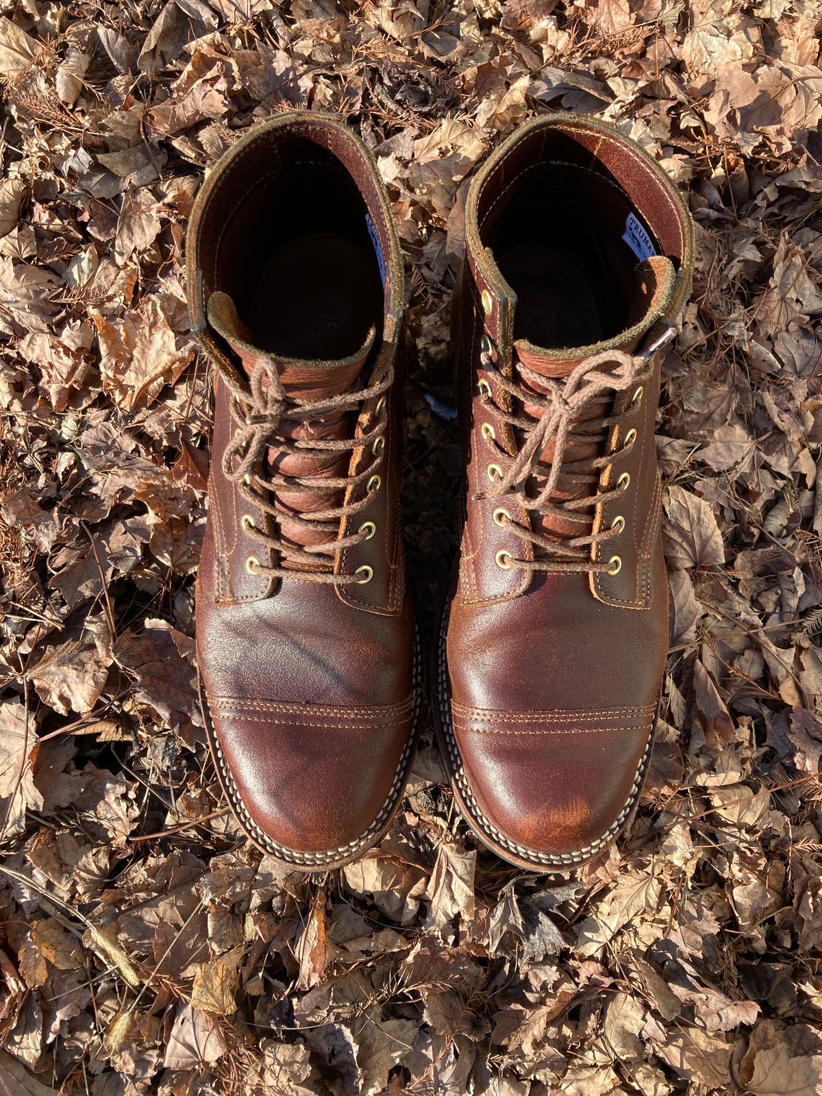 Photo by Indy.Ben2 on February 4, 2023 of the Truman Service Boot in Horween Chestnut Waxed Flesh.
