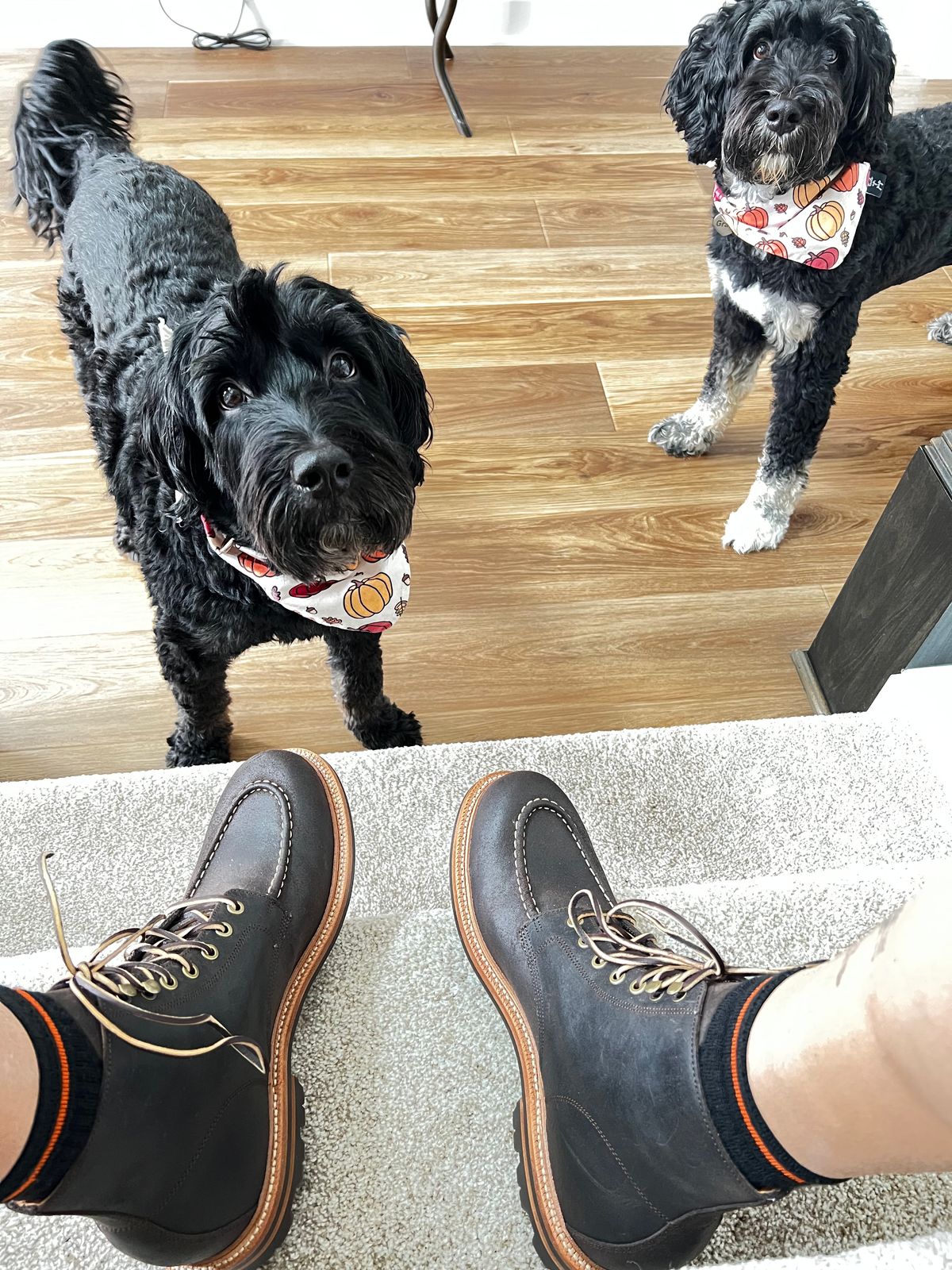 Photo by DMSR64 on October 1, 2024 of the Grant Stone Brass Boot in C.F. Stead Earth Waxy Commander Suede.