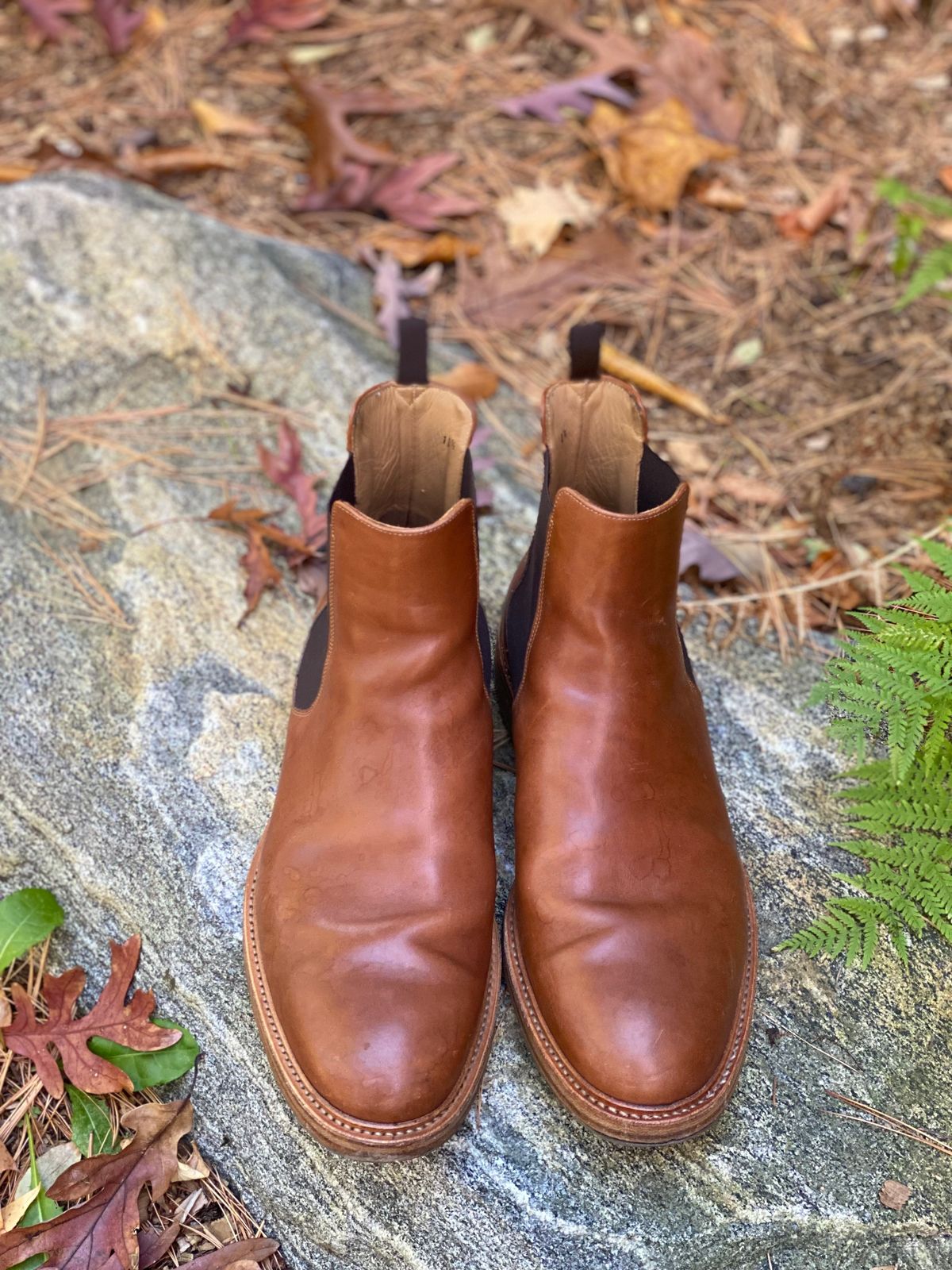 Photo by stitchdown on November 4, 2022 of the Rider Boot Co. Fritz in Maryam Toscanello Horsebutt.