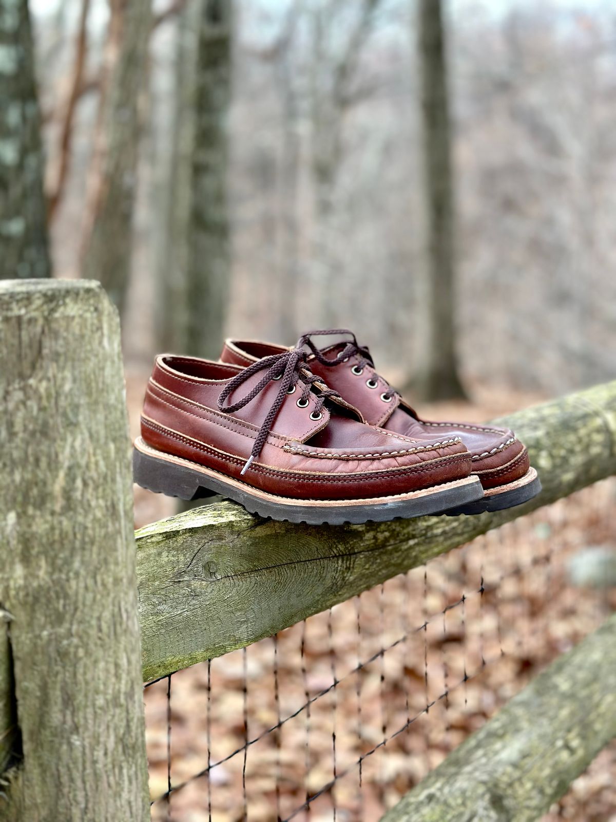 Photo by stitchdown on January 5, 2025 of the Russell Moccasin Co. Fishing Oxford in Seidel British Tan Double Shot.