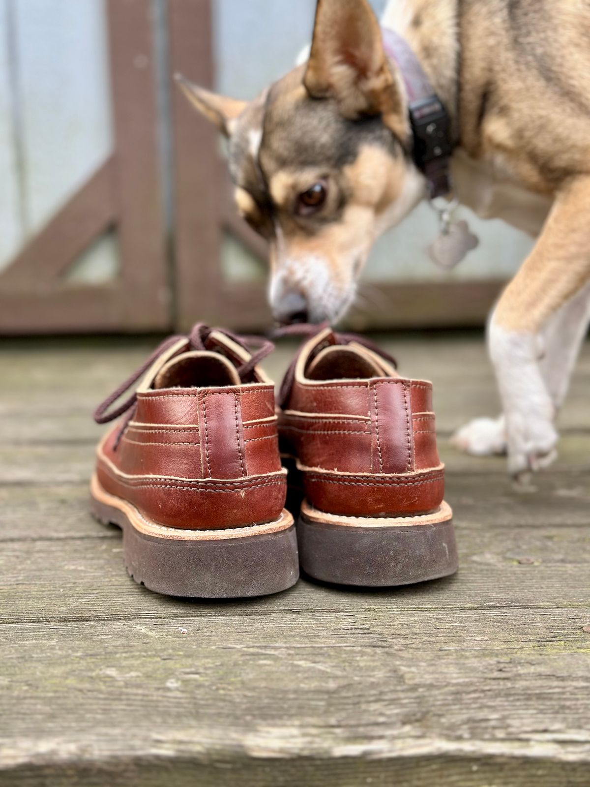 Photo by stitchdown on January 5, 2025 of the Russell Moccasin Co. Fishing Oxford in Seidel British Tan Double Shot.