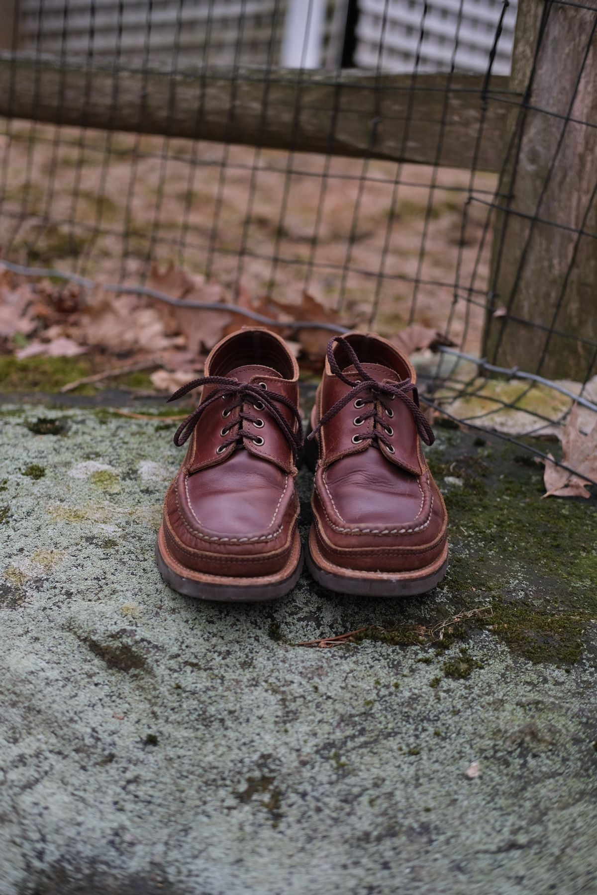 Photo by stitchdown on March 5, 2025 of the Russell Moccasin Co. Fishing Oxford in Seidel British Tan Double Shot.