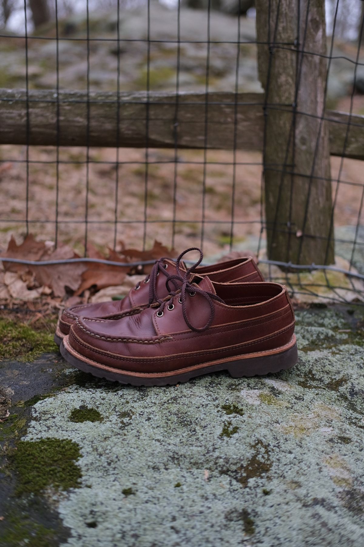 Photo by stitchdown on March 5, 2025 of the Russell Moccasin Co. Fishing Oxford in Seidel British Tan Double Shot.