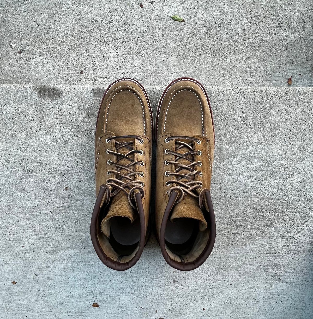 Photo by josiahmayo on October 11, 2023 of the Red Wing 6-Inch Classic Moc in S.B. Foot Olive Mohave Roughout.