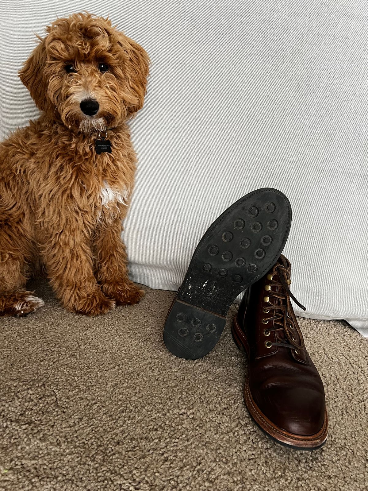 Photo by josiahmayo on January 2, 2023 of the Grant Stone Diesel Boot in Horween Crimson Chromexcel.